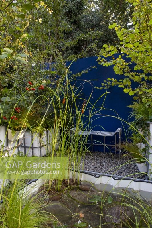 Repurposed upcycled industrial IBC -  intermediate bulk containers - to create a modern contemporary multi layered woodland planting - a pond with aquatic plants of Typha gracilis - Cat's Tail Bulrush, Aponogeton distachyos, Cyperus longus and Carex riparia