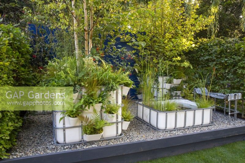 Repurposed upcycled industrial IBC - intermediate bulk containers -to create a modern contemporary multi layered woodland planting - a pond with aquatic plants and containers with planting of ornamental grasses, ferns and trees