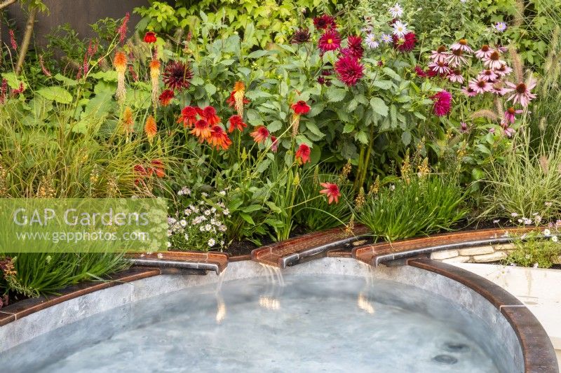 Copper metal rills with water flowing into a small pool - late summer mixed perennial planting of Echinacea purpurea 'Magnus', Echinacea 'Eccentric', Dahlia 'Black Narcissus', Kniphofia 'Papaya Popsicle'