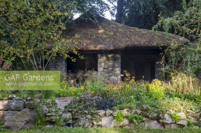 Drystone wall with Asplenium scolopendrium - old stone forge building with thatched roof - Malus - crab apple and mixed planting perennial border with Digitalis, Digiplexis, Coreopsis grandiflora, Crocosmia, Kniphofia and Helenium