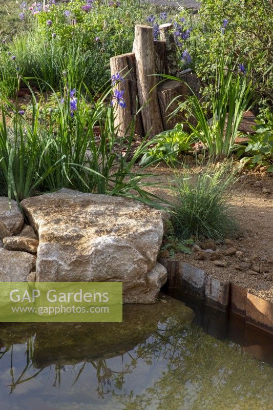 A wildlife friendly garden with pond with edging of stone boulders and metal girders - a gravel path - old tree stumps as a wildlife habitat and Iris sibirica 'Tropical Night'
