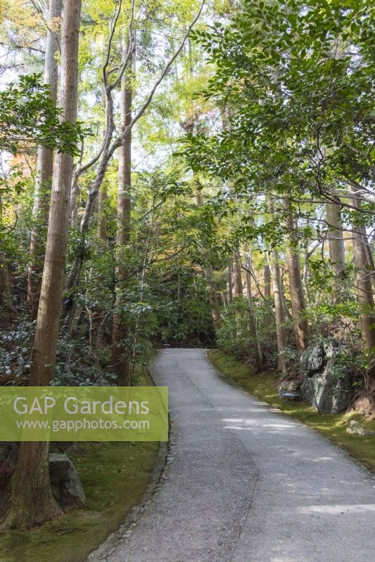 Tree lined drive leading from entrance into the garden. 