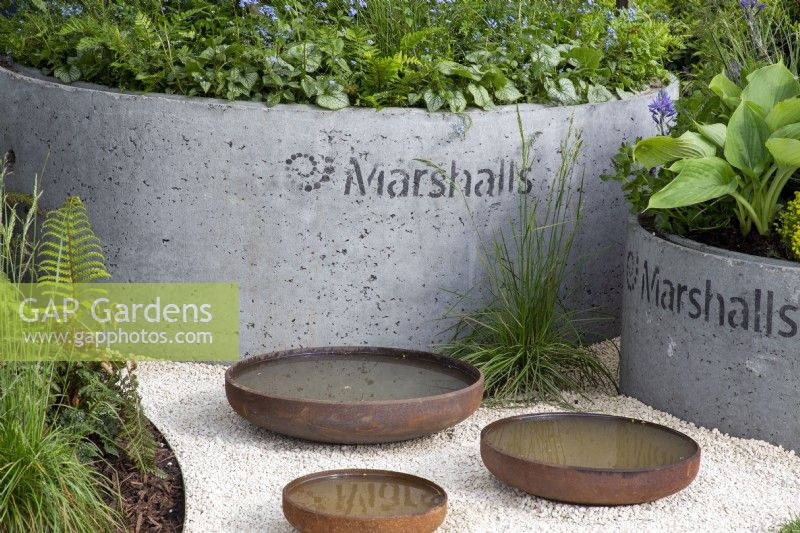 Corten steel bowls filled with water for wildlife to drink - concrete containers with mixed perennial planting of Hosta 'T-Rex' and Brunnera macrophylla 'Jack Frost'