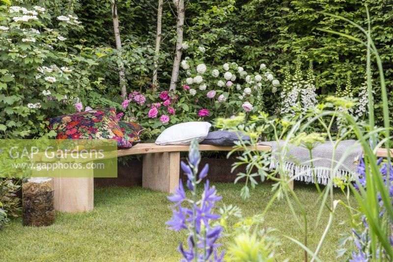 Wooden bench on grass lawn - mixed perennial planting border of Viburnum plicatum and opulus, Digitalis purpurea 'Albiflora', Roses, Betula pendula and Fagus sylvatica hedge 