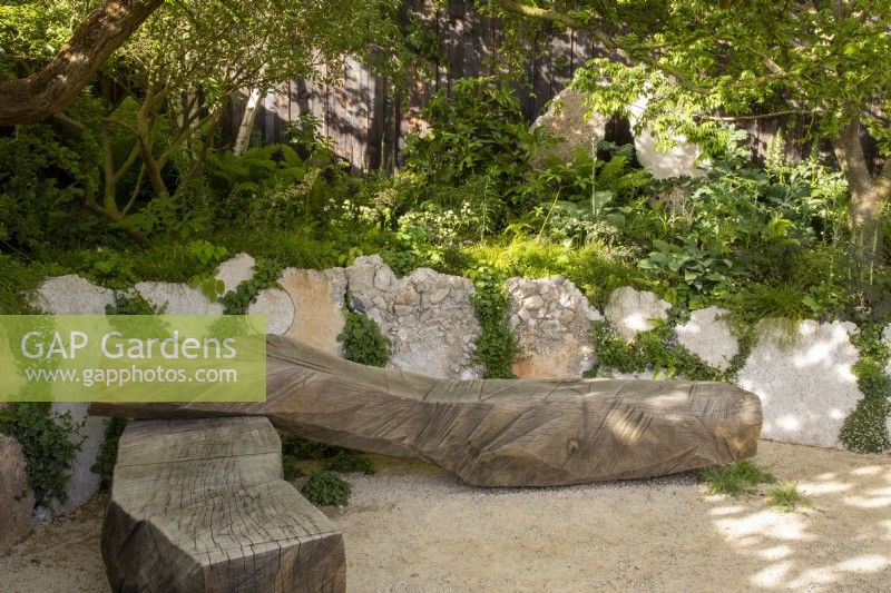 Oak bench seat - reclaimed concrete raised beds with mixed perennial planting Carex remota, Astrantia, Hosta, Epimedium  perralchicum,  Fatsia japonica and ferns, Ulmus minor 'Jacqueline Hillier' small leaved Elm tree