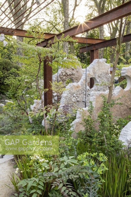 Rusty steel frame pergola with concrete suspended sculptures - mixed perennial planting including Aralia chapaensis, Silene fimbriata, Euphorbia lathyris and Imperata 'Red Baron' - Japanese blood grass 