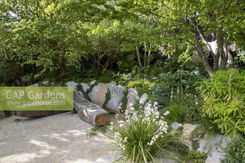 Modern contemporary garden made with salvaged building materials - seating area with oak bench seat - reclaimed concrete raised beds with mixed perennial planting of shade loving woodland plants Euphorbia x pasteuri and Libertia grandiflora syn. Chilensis 
