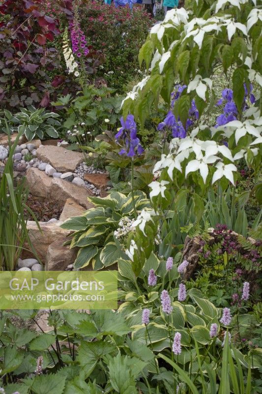 Mixed planting in the 'RHS Garden for Wildlife Wild Woven' - RHS Chatsworth Flower Show 2019, June
