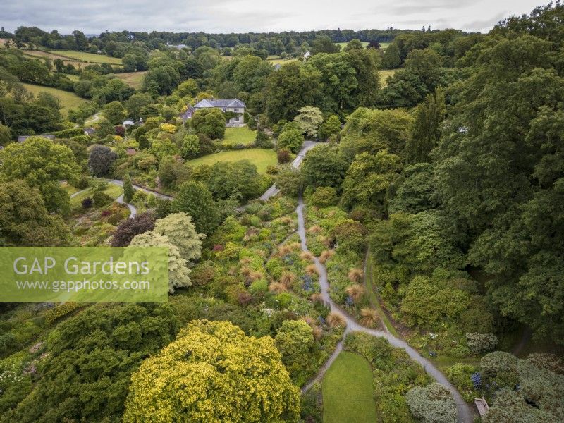 Aerial view of The Garden House in Devon showing the summer garden with Chionochloa rubra dotted through the perennial planting, and the house behind