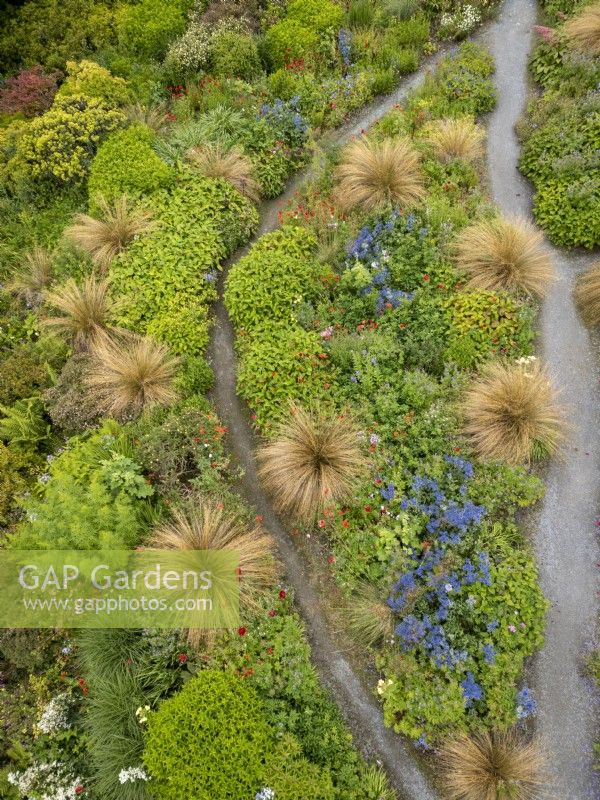 Aerial view of The Garden House in Devon showing the summer garden with Chionochloa rubra dotted through the perennial planting.