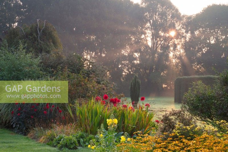 Red Dahlias 'Bishop of Llandaff', 'Babylon Red' and Rudbeckia in a border at Waterperry Gardens at sunrise.