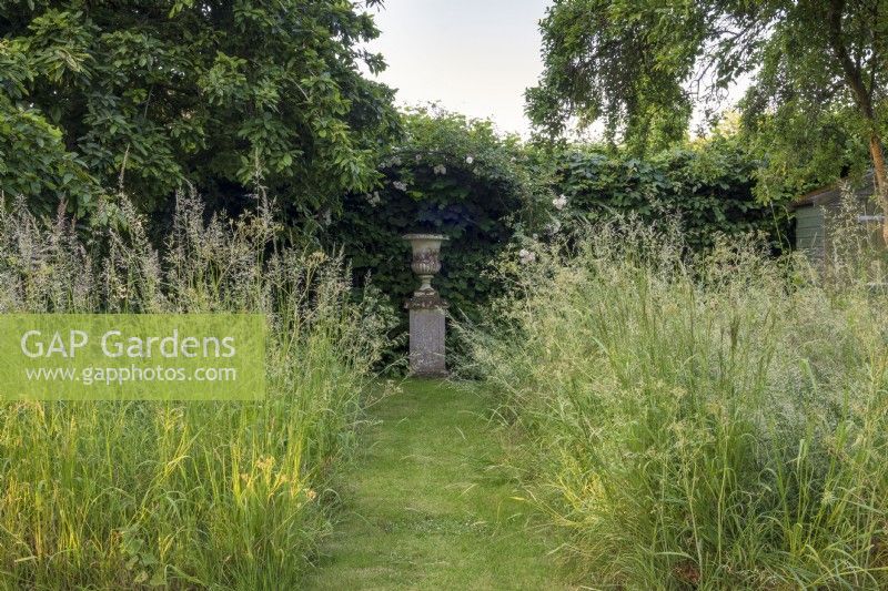 View of urn with wild grasses framing.  Medlar tree, Mespilus germanica, to the left. 