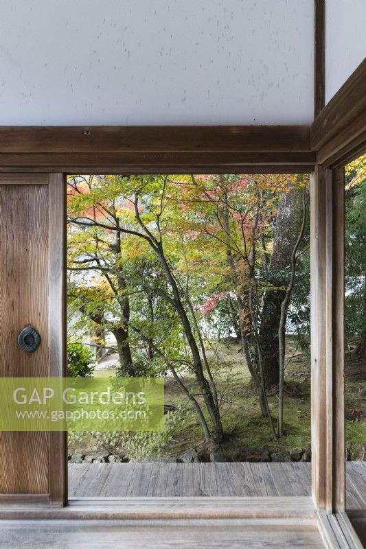 View into the Landscaped garden through frame of temple building. Acers in autumn colour.