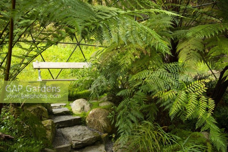 A bench surrounded by ferns inside the geodesic dome housing the fernery.