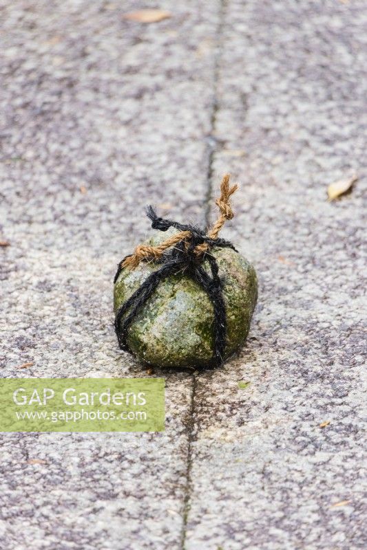 Stone tied with black string and placed on path as notice not to enter. This is called Tome ishi. 