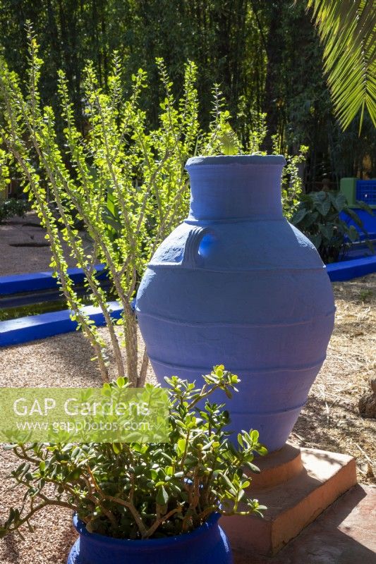 A blue painted amphora, terracotta container in Jardin Majorelle, Yves Saint Laurent garden