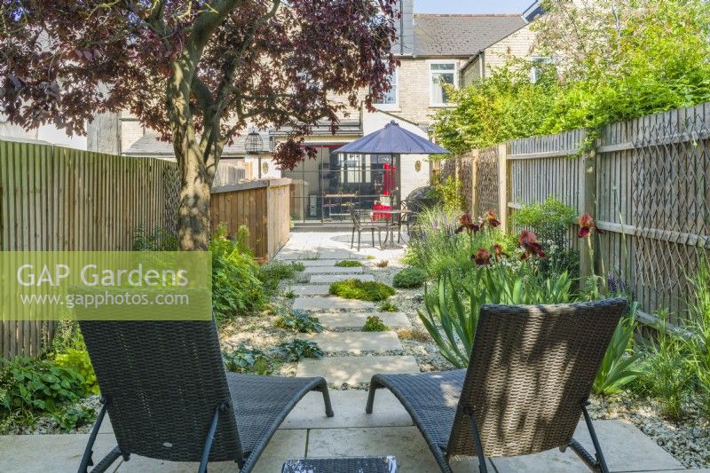 Sun loungers in a small contemporary town garden in summer with stepping stones, stone chippings, a wide variety of plants incuding Iris 'Natchez Trace' and a mature Prunus cerasifera 'Nigra' providing dappled shade. June