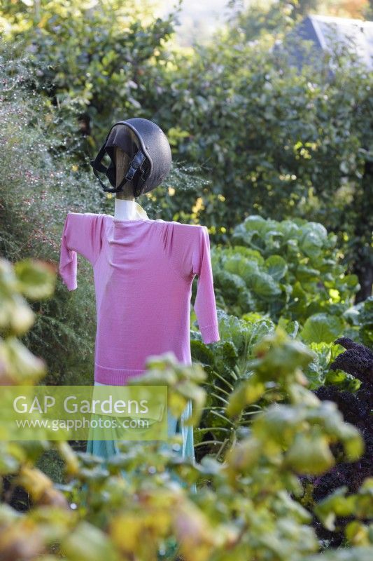 Scarecrow in a vegetable garden in October