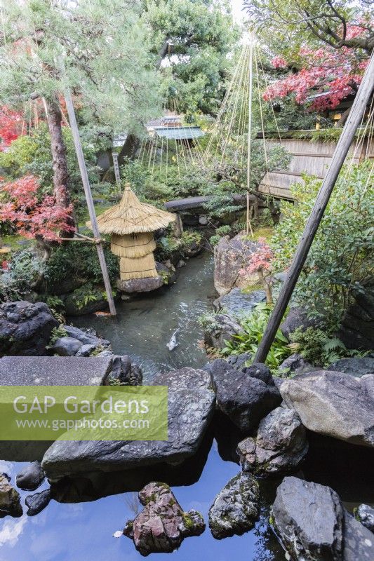 Rock stepping stones crossing water with straw-wrapped fragile stone ornament as protection against frost. Shrubs with pole and rope protection against snow damage called Yukitsuri. 