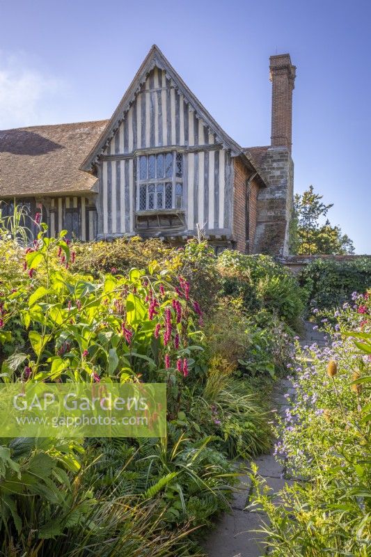 View towards the house from the Mosaic Garden with Persicaria orientalis syn. Polygonum orientale in the foreground