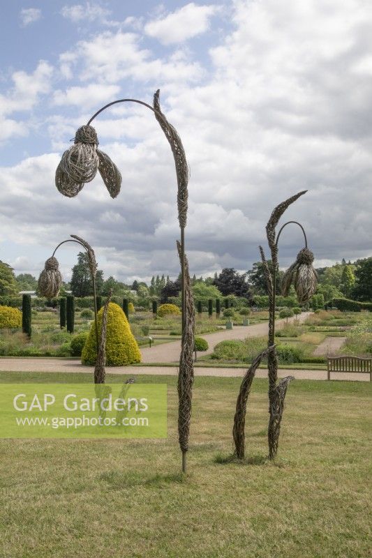 Woven willow snowdrops at Trentham Gardens, June