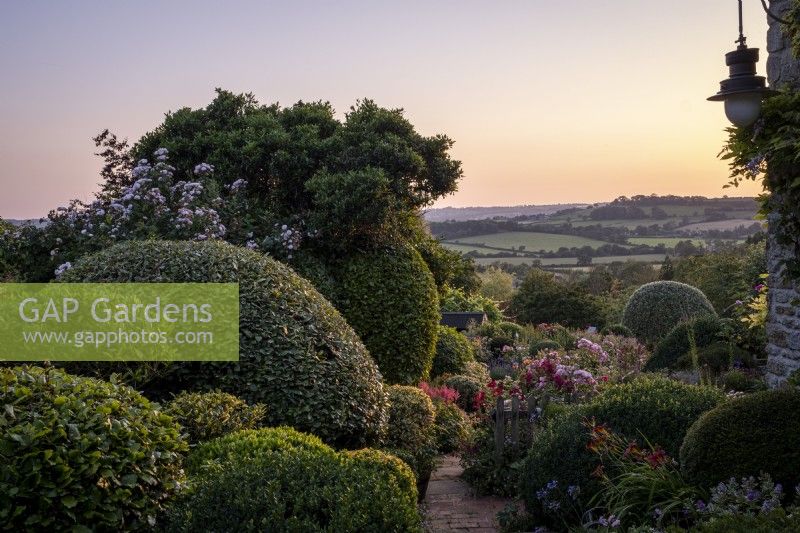 Paved path leading in to informal over flowing summer garden, with different topiary spheres to give height and structure