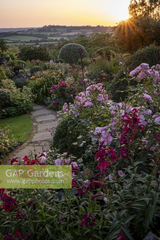 Paved path leading in to informal over flowing summer garden, with different topiary spheres to give height and structure