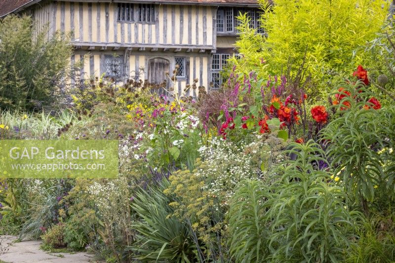 The Long Border in late August