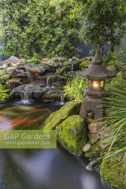 Koi carp pond at dusk with waterfall and an illuminated Japanese pagoda style lantern.