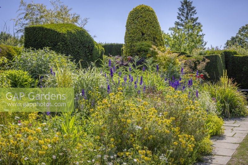 The top of the Long Border with Phlomis fruticosa - Jerusalem sage - in the foreground