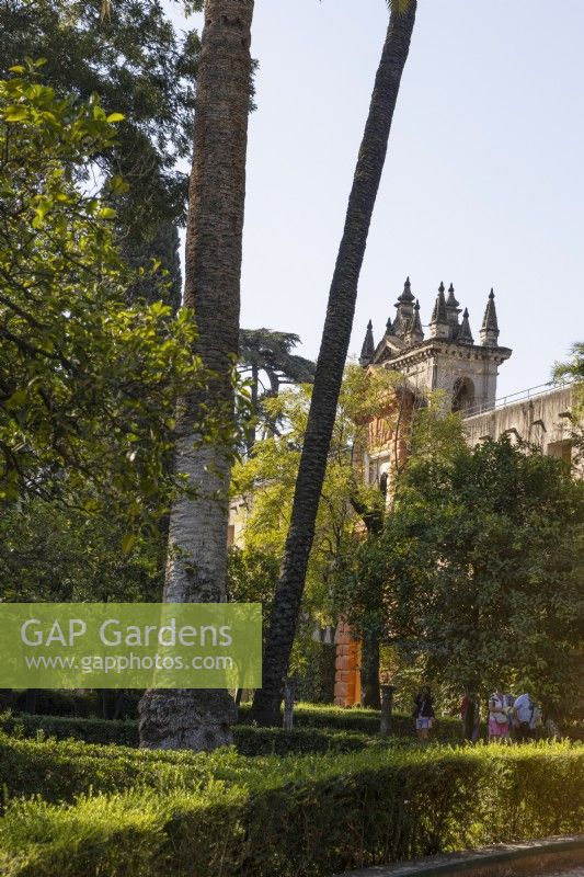  A view across clipped hedges and a variety of foliage to an ornate facade at the Royal Alcazar Palace gardens, Seville. Spain. September. 