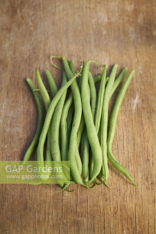 Dwarf bean Delinel on a wooden backdrop