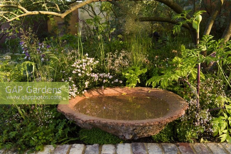 Still bowl with a water in a flower bed with ground covering plants. The Nurture Landscapes Garden, Designer: Sarah Price, Gold medal winner RHS Chelsea Flower Show 2023