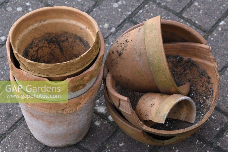Broken and frost damaged terracotta pots  September