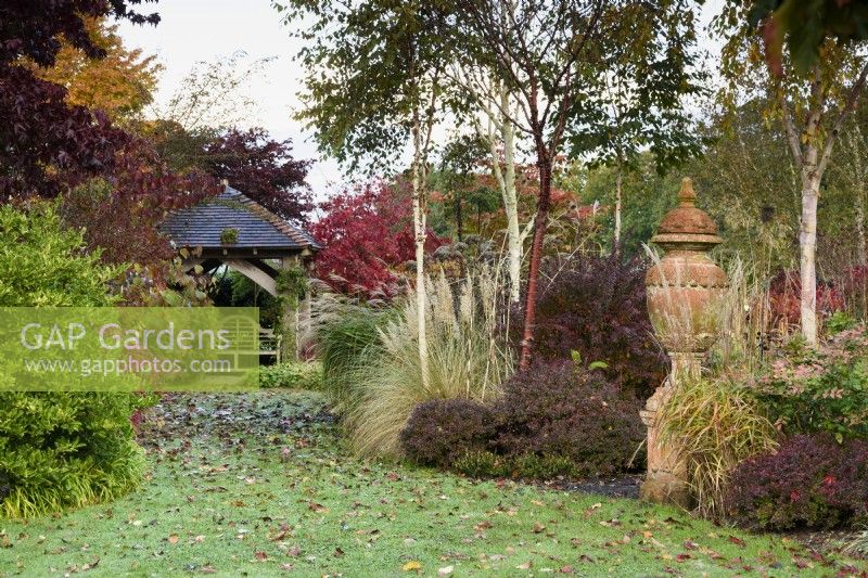 Terracotta urn surrounded by shrubs, ornamental grasses and trees including Prunus serrula and white-stemmed birches in November