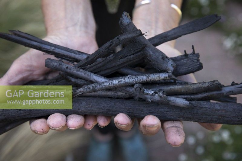 Traditional method of making charcoal from black alder