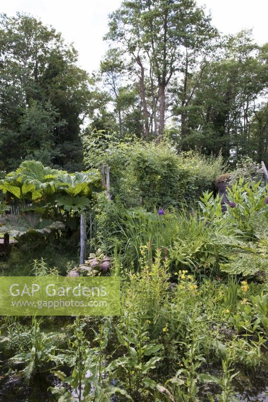 Natural stream in woodland garden