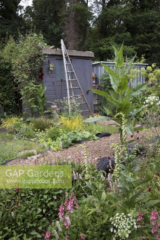 Naturalistic border in woodland garden