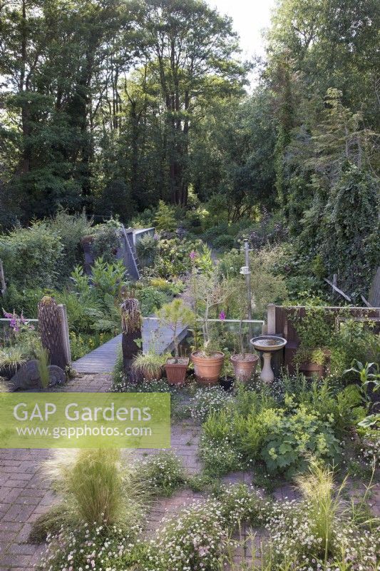 Overall view of naturalistic woodland garden