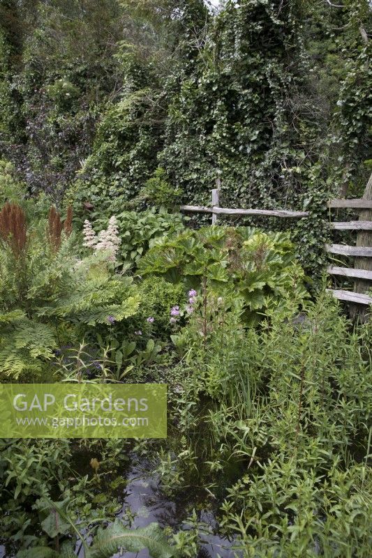 Natural stream in woodland garden