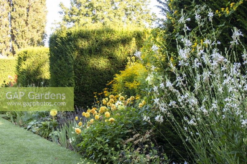 A view along the white and yellow sections of The Palette, colour-themed borders at The Manor, Little Compton. Oenothera lindheimeri 'Cool Breeze' is in the foreground.