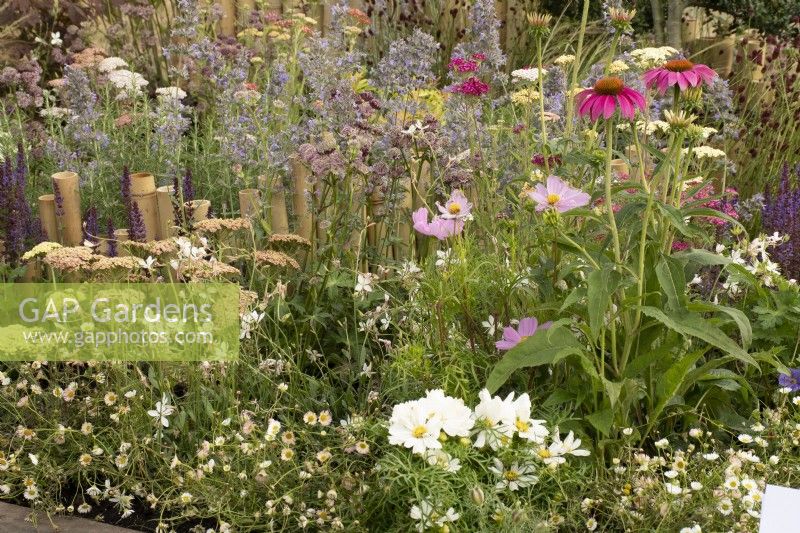 RHS Tatton Park 2022 - Greener Borders - W-E the Border by Queenie Chan