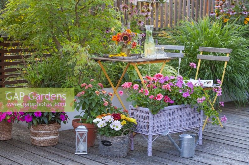 Container plantings on the terrace with Impatiens and Pelargonium, a flower arrangement with a cold drink on the table.