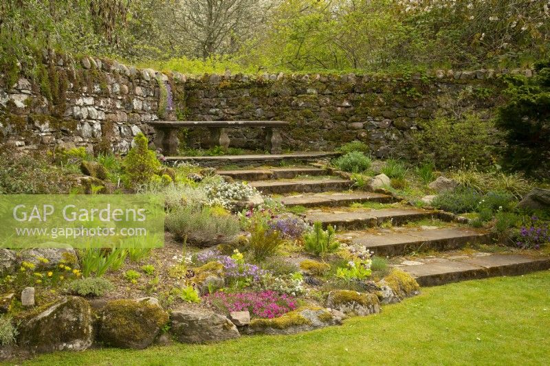 Spring flowers in a rock garden around stone steps bordered by a stone wall at Cawdor Castle Gardens.