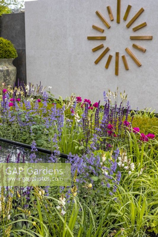 A colourful perennial bed planted with Nepeta, Salvia and Ixia 'Mabel'. Large modern copper wall clock decorates a tiled wall in the background. June. Designer: Kevin Dennis, Bord Bia Bloom 2023 