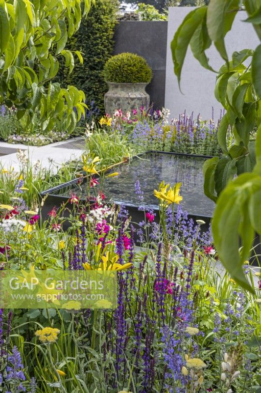 A view through Heptacodium leaves and a perennial bed planted with Salvia nemerosa, Nepeta and Hemerocallis to a modern water feature and a large vase with a yew ball. Designer: Kevin Dennis, Bord Bia Bloom 2023