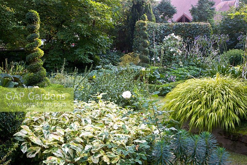 Garden with trees and shrubs 