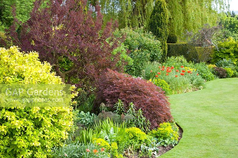Borders with shrubs and perennials 