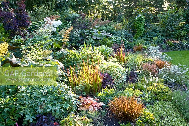 Perennials as ground cover 