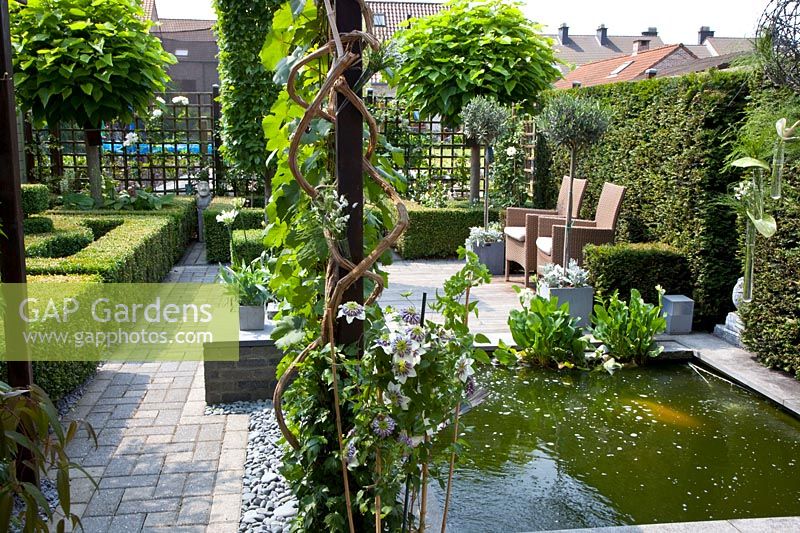 Small garden with pond and pergola 
